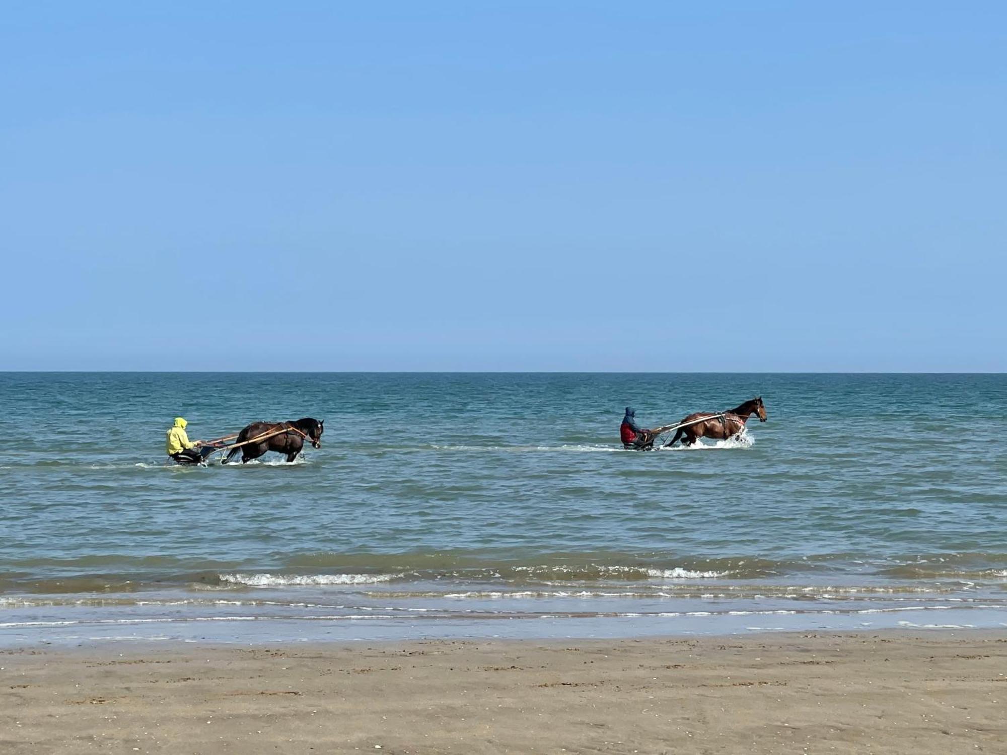 Pressoir De La Mare Superhote 12 Minutes De Cabourg Ferienhaus Goustranville